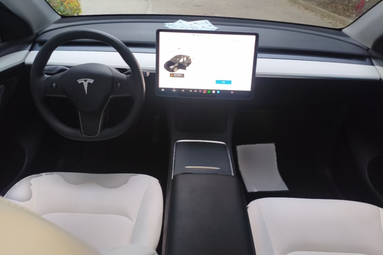 Tesla Model Y 2021 #11 Tesla Model Y 2021 imagen de coche #11