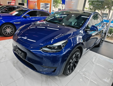Tesla Model Y 2022 car image 