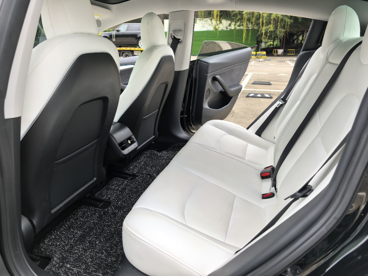 Tesla Model 3 2021 #7 Tesla Model 3 2021 car image #7