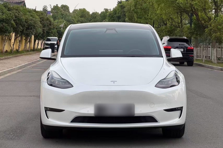 Tesla Model Y 2021 #6 Tesla Model Y 2021 car image #6