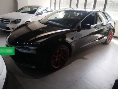 Tesla Model 3 2022 Tesla Model 3 2022 car image