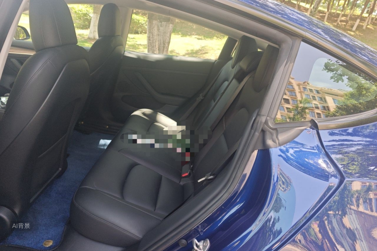 Tesla Model 3 2021 #19 Tesla Model 3 2021 car image #19
