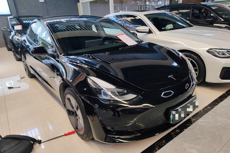 Tesla Model 3 2021 #4 Tesla Model 3 2021 immagine di auto #4