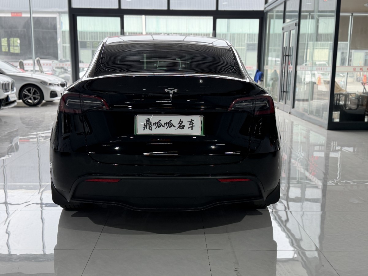Tesla Model Y 2024 car image #6