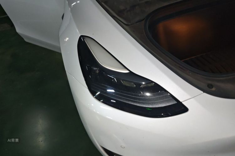 Tesla Model Y 2023 #8 Tesla Model Y 2023 car image #8