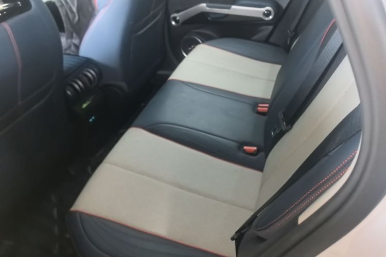 BYD Yuan Plus 2022 car image #17