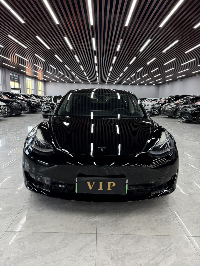 Tesla Model 3 2023 car image #2