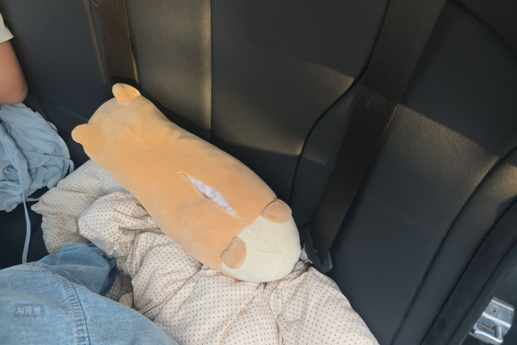 宝马 宝马3系GT 2019 汽车图片 #19