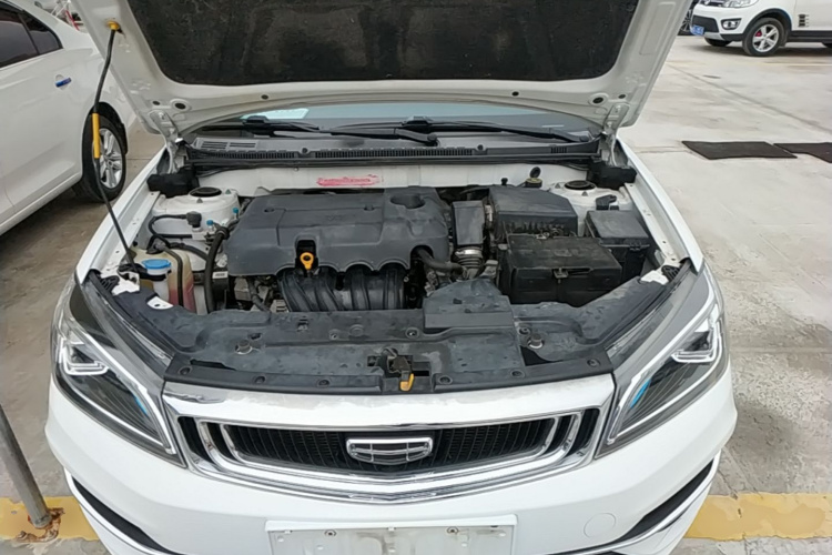 GEELY Emgrand 2020 car image #20