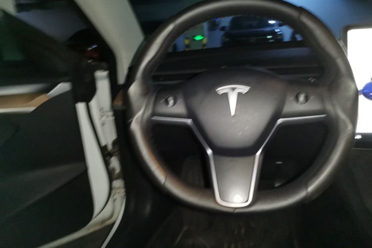 Tesla Model 3 2022 #11 Tesla Model 3 2022 car image #11