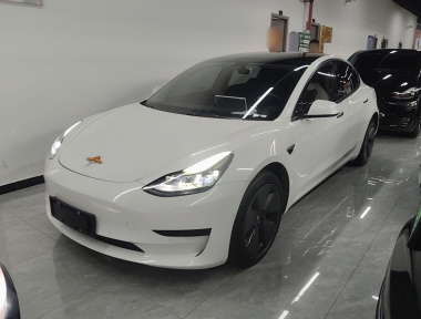 Tesla Model 3 2022 Tesla Model 3 2022 car image