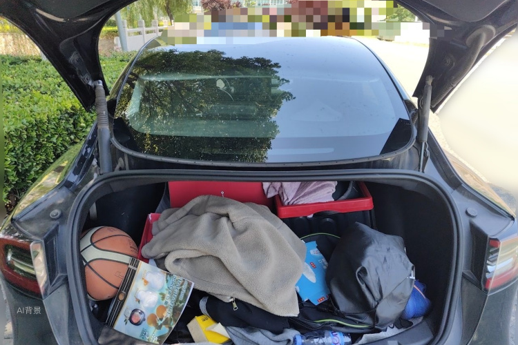 Tesla Model 3 2021 car image #21