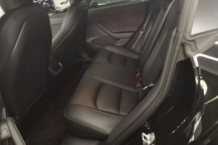 Tesla Model 3 2021 #17 Tesla Model 3 2021 car image #17