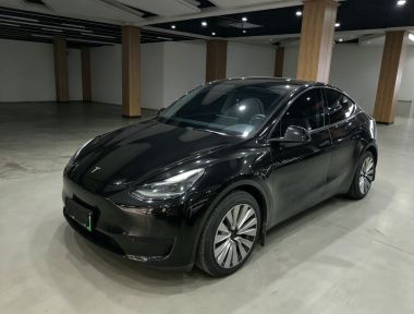 Tesla Model Y 2022 Tesla Model Y 2022 car image
