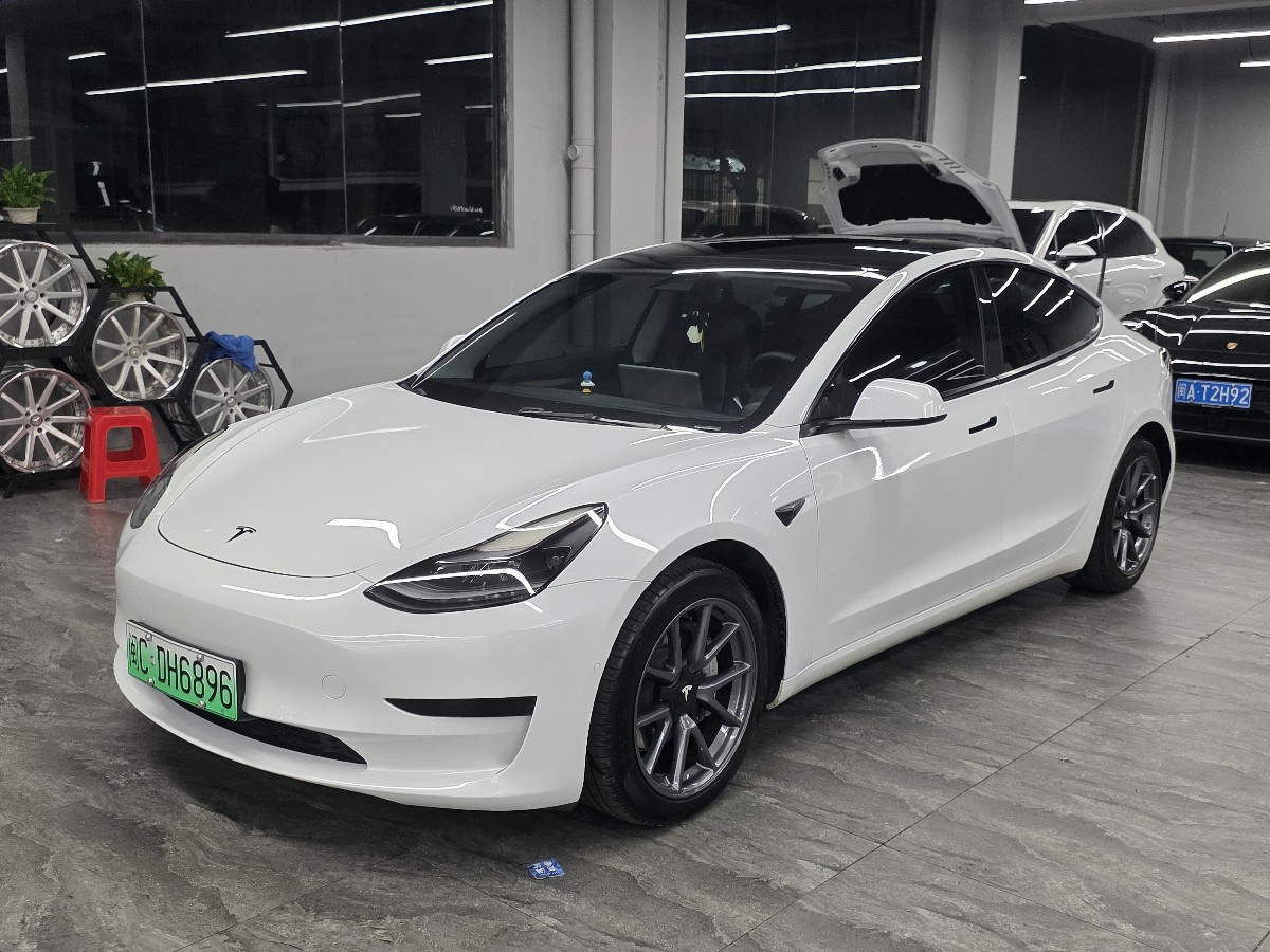 Tesla Model 3 2021 Tesla Model 3 2021 immagine di auto