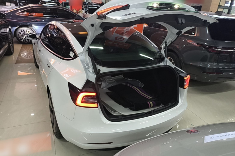 Tesla Model 3 2021 #19 Tesla Model 3 2021 car image #19
