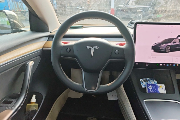 Tesla Model 3 2022 immagine di auto #12