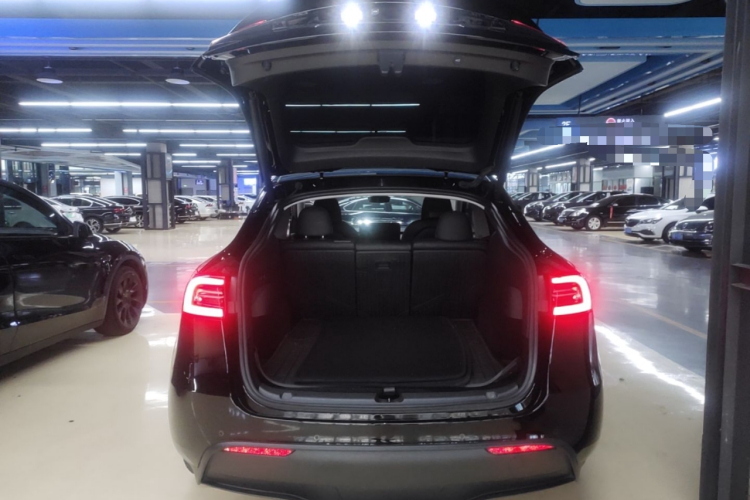 Tesla Model Y 2023 #18 Tesla Model Y 2023 car image #18