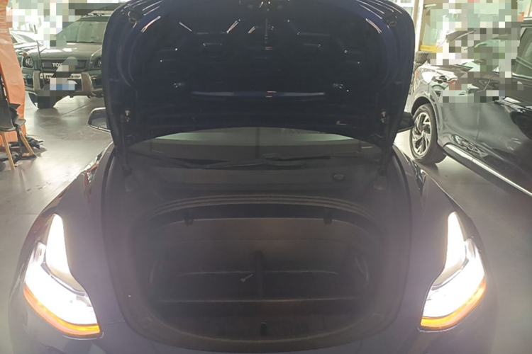 Tesla Model 3 2020 #20 Tesla Model 3 2020 immagine di auto #20