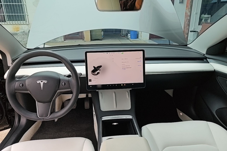 Tesla Model 3 2022 car image #10