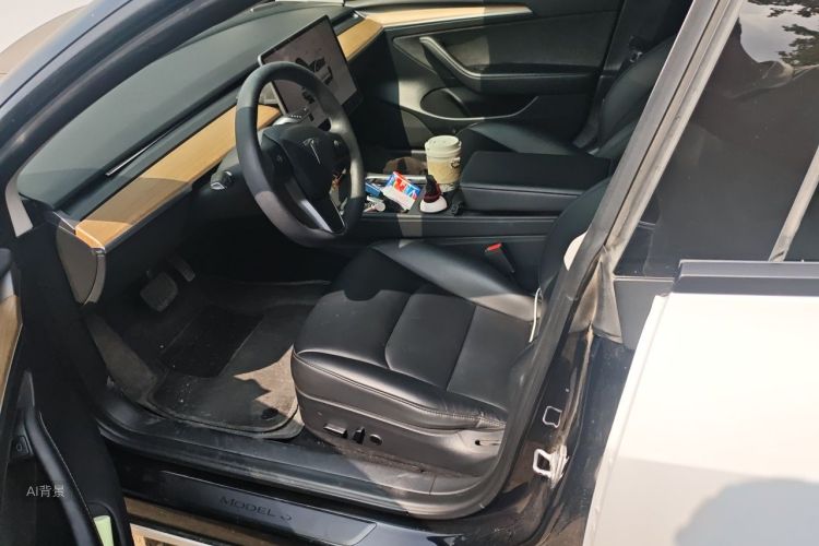 Tesla Model 3 2023 car image #17