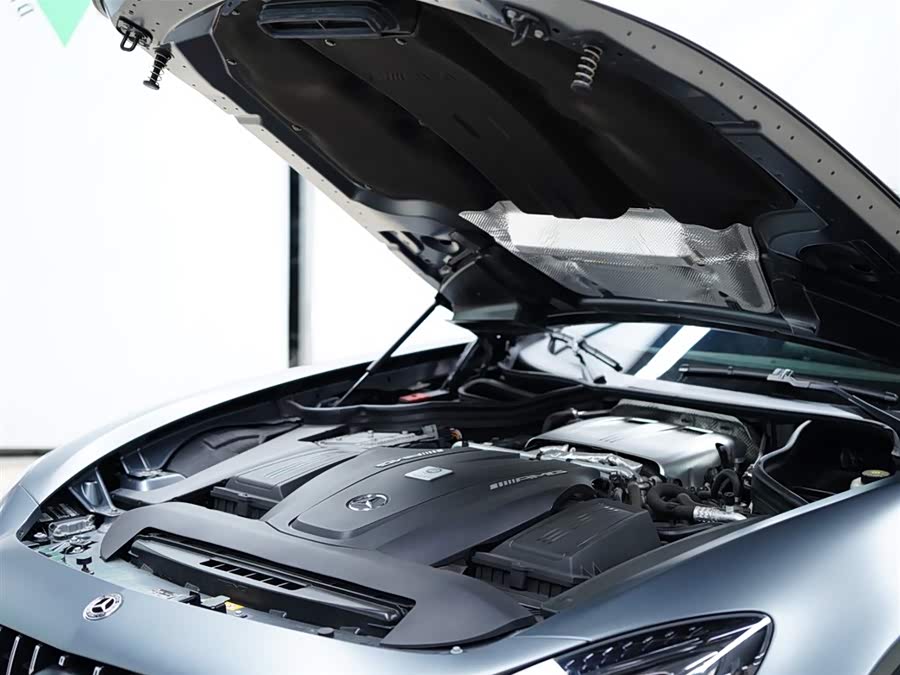 奔驰 AMG GT 2020 汽车图片 #54