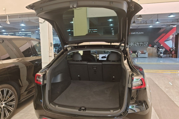 Tesla Model Y 2023 #19 Tesla Model Y 2023 car image #19