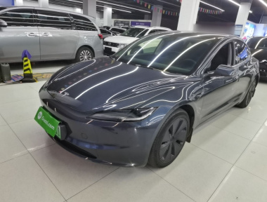 Tesla Model 3 2024 Tesla Model 3 2024 car image