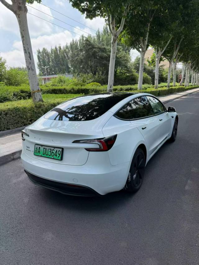 Tesla Model 3 2025 imagen de coche #10