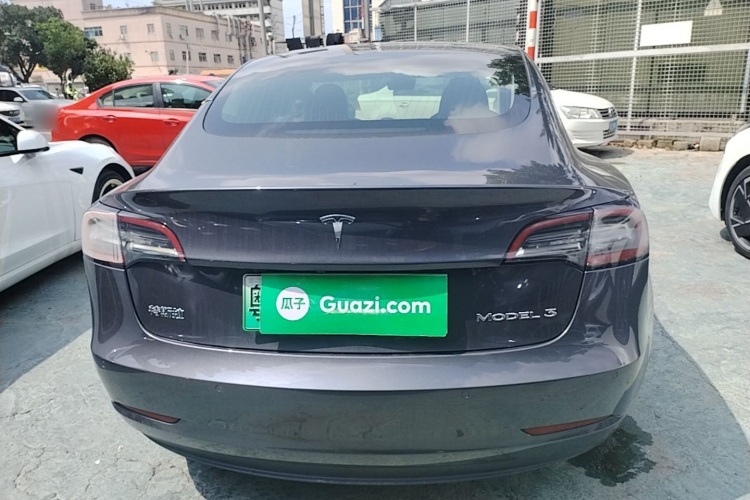 Tesla Model 3 2020 car image #6