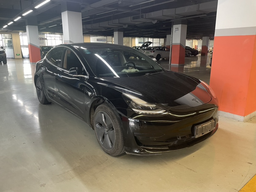 Tesla Model 3 2020 Tesla Model 3 2020 car image