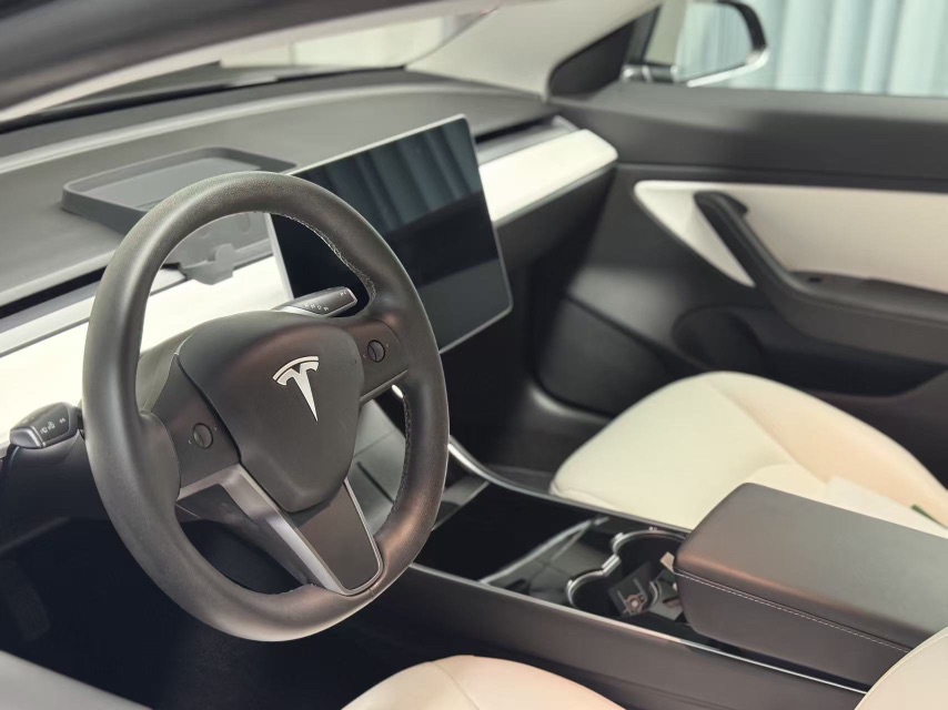 Tesla Model 3 2020 car image #3