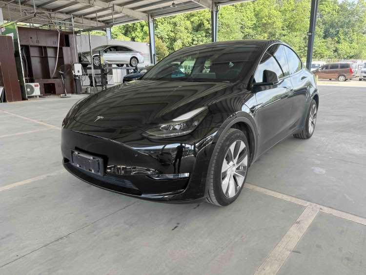 Tesla Model Y 2021 Tesla Model Y 2021 car image