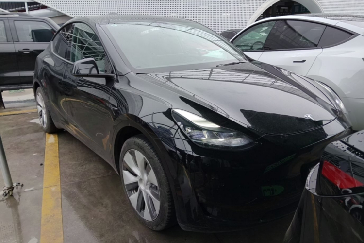 Tesla Model Y 2023 #6 Tesla Model Y 2023 car image #6