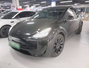 Tesla Model Y 2022 car image 