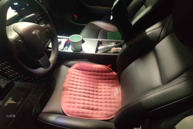 Tesla Model Y 2022 car image #17