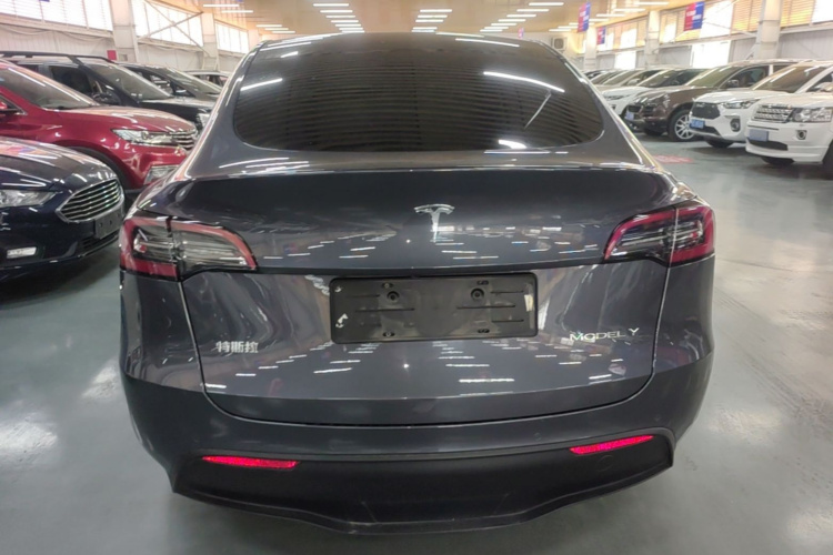 Tesla Model Y 2021 #6 Tesla Model Y 2021 car image #6