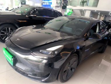 Tesla Model 3 2021 Tesla Model 3 2021 car image