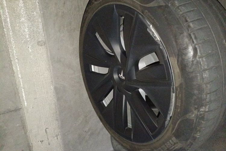 Tesla Model Y 2023 car image #6