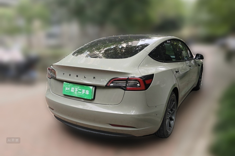 Tesla Model 3 2020 car image #7