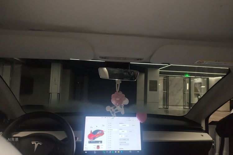 Tesla Model 3 2021 immagine di auto #20