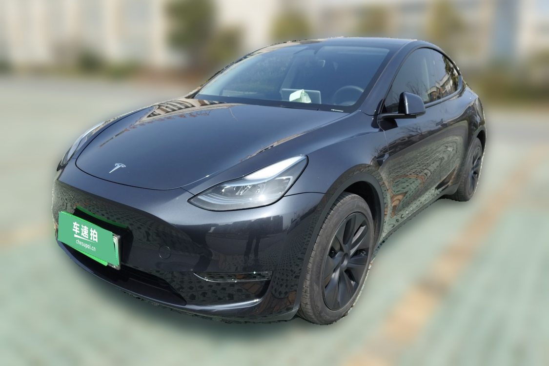 Tesla Model Y 2024 car image 