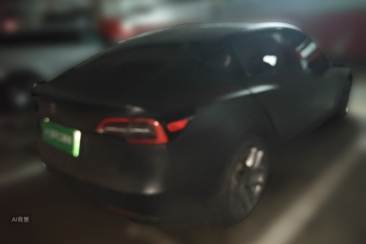 Tesla Model 3 2023 car image #7
