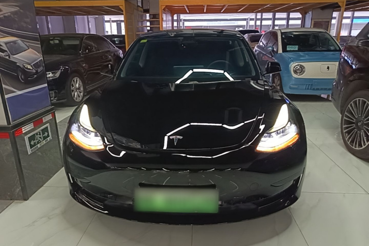 Tesla Model 3 2021 car image #3