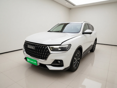Haval H6 2024 car image 