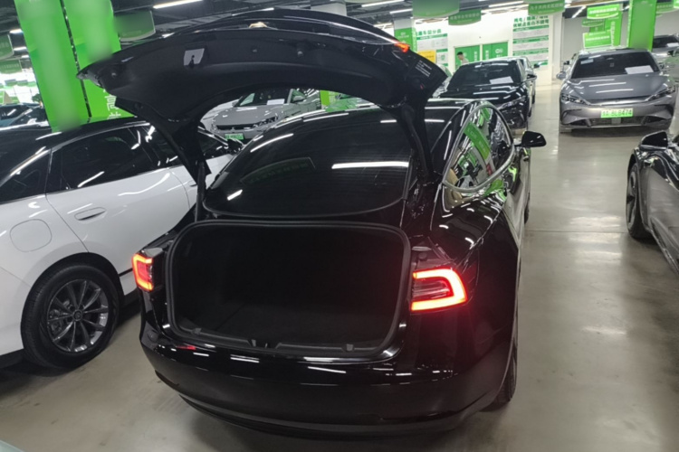 Tesla Model 3 2021 #19 Tesla Model 3 2021 immagine di auto #19