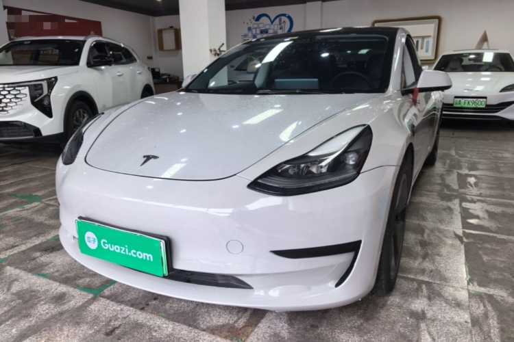 Tesla Model 3 2021 #2 Tesla Model 3 2021 immagine di auto #2
