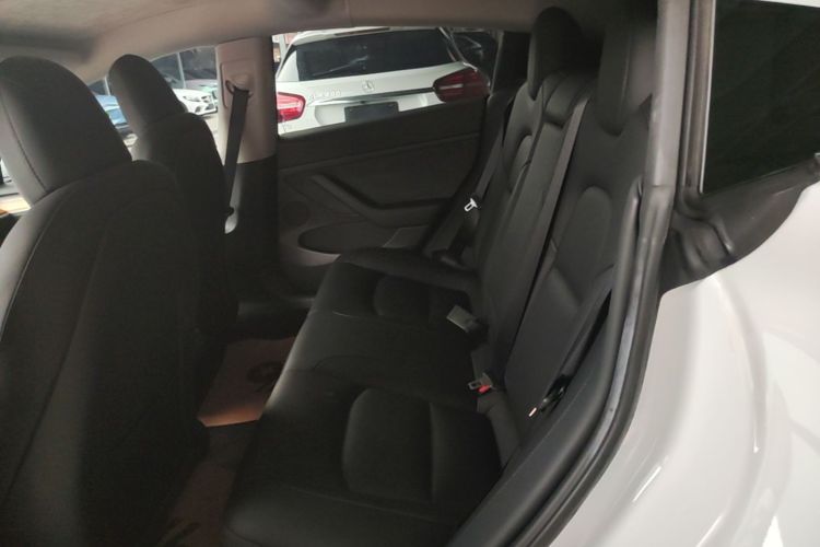 Tesla Model 3 2021 #17 Tesla Model 3 2021 car image #17
