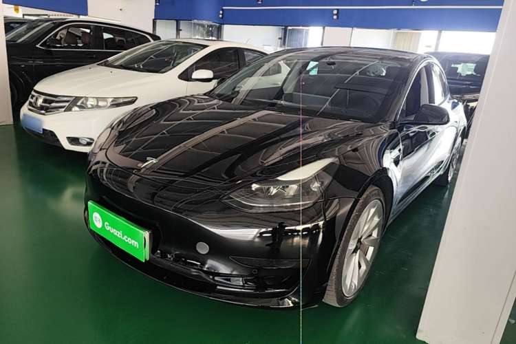 Tesla Model 3 2021 #2 Tesla Model 3 2021 car image #2
