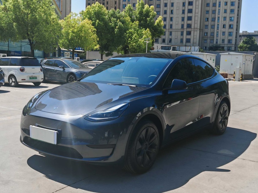 Tesla Model Y 2024 immagine di auto 
